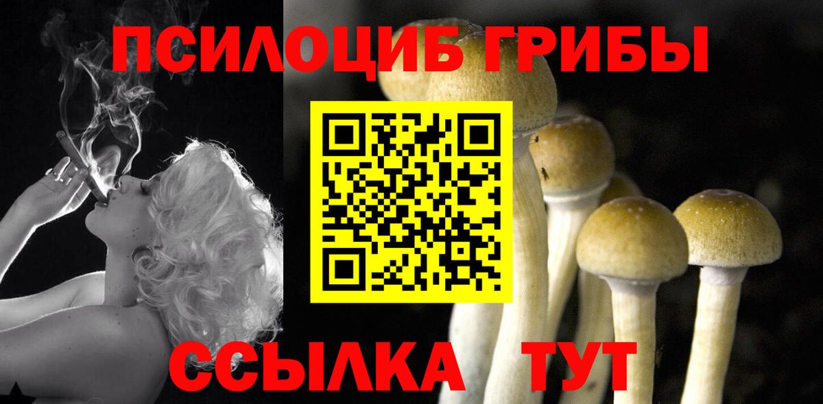 Галлюциногенные грибы мухоморы Обь